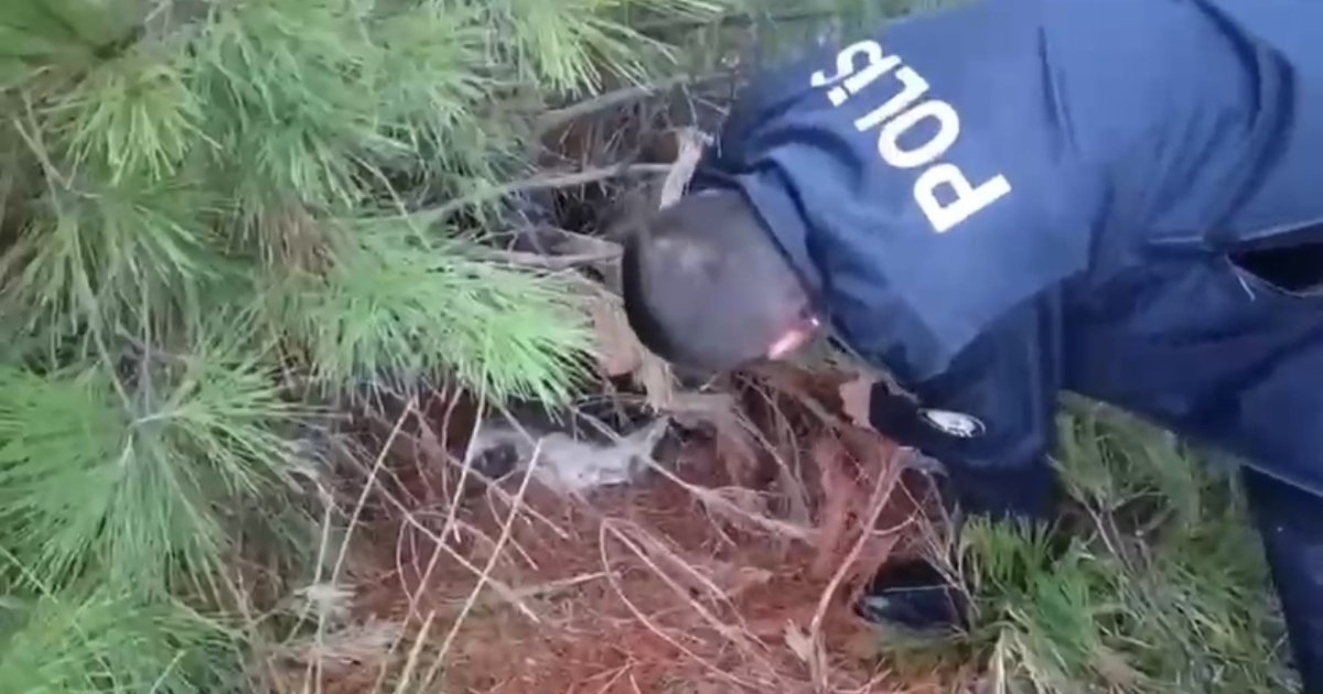 polis-kacak-avcilik-tuzagi-ele-gecirdi