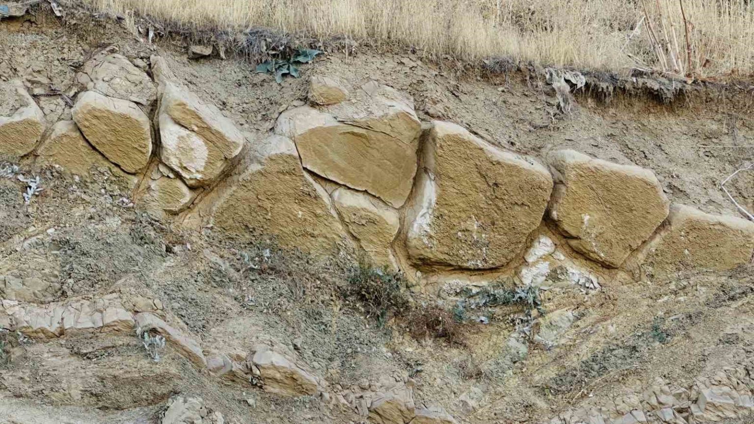 yuksekovada-gizemli-buluntu-heyecani-esnaf-tarihcilere-cagri-yapti