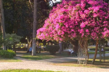 adanada-yazdan-kalma-gunler-yasaniyor
