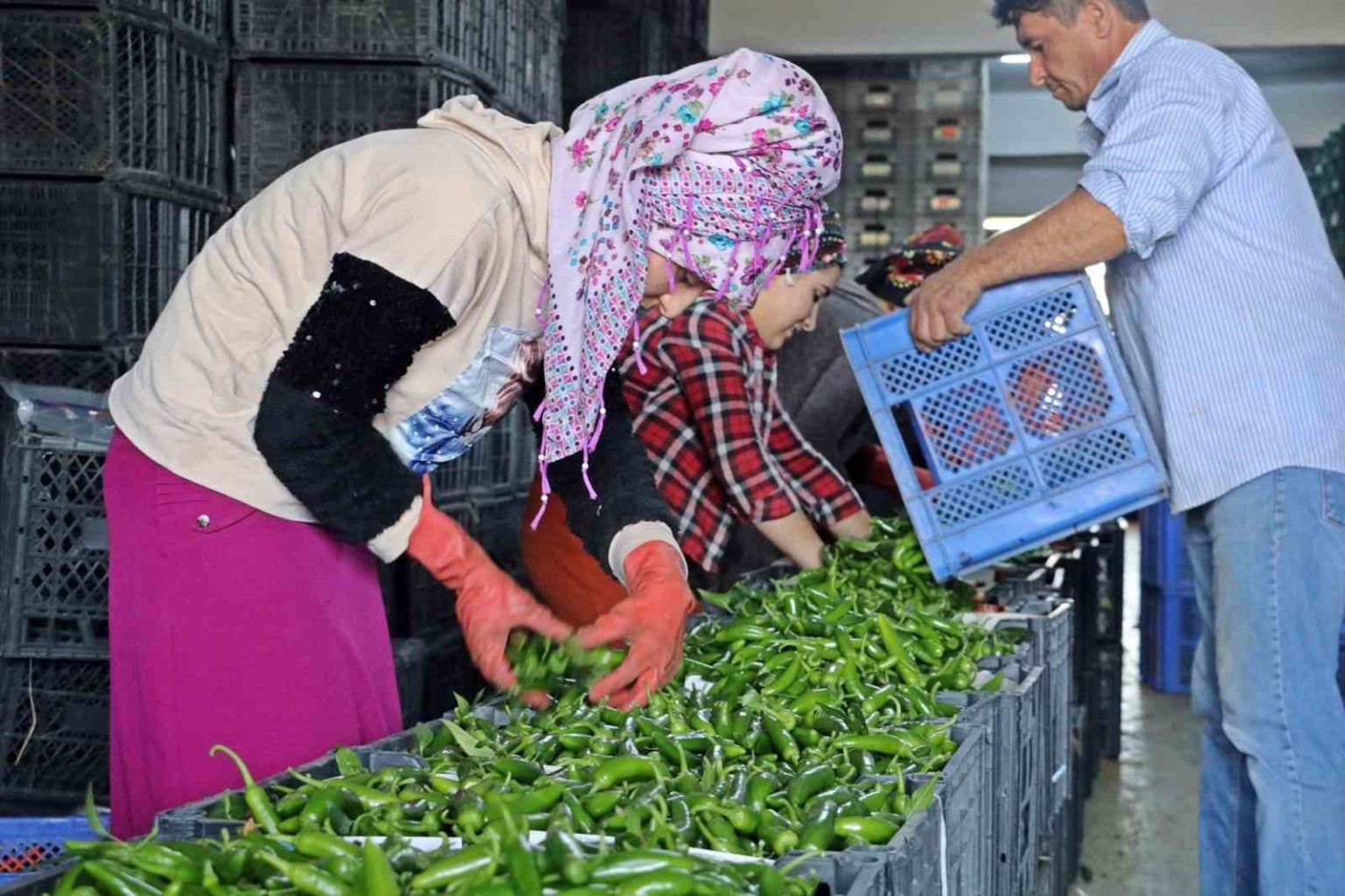antalyada-eylulde-sebze-miktari-yuzde-10-artti