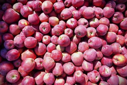 egenin-elma-deposu-denizlide-ureticinin-yuzu-guluyor