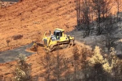 koycegizde-yanan-alanlara-ilk-fidanlar-11-kasimda-toprakla-bulusacak