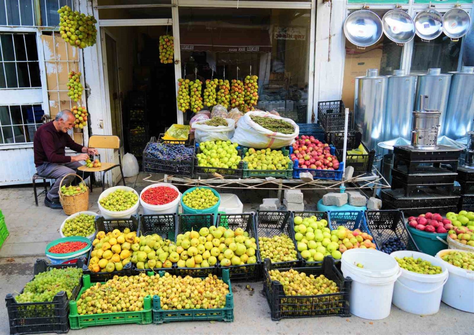 musta-ipe-dizilen-guz-armutlari-3-ay-tazeligini-koruyor