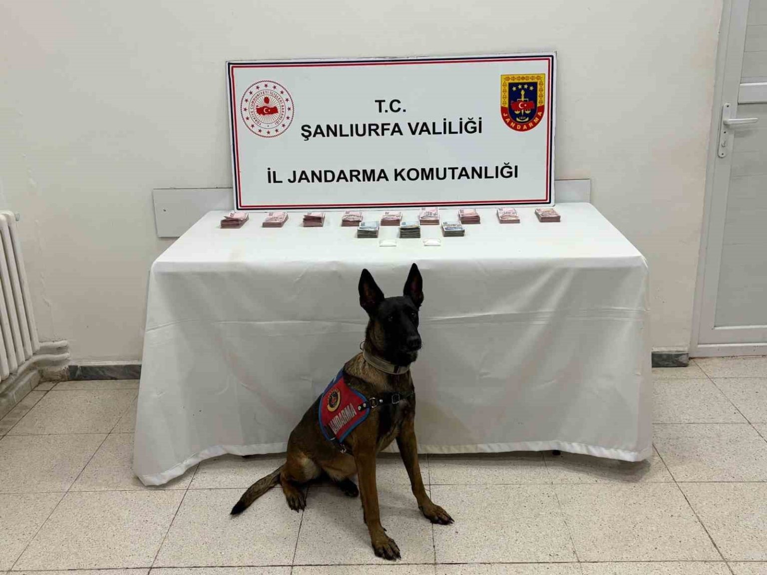 sanliurfada-210-bin-tl-ile-uyusturucu-madde-ele-gecirildi
