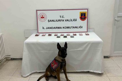 sanliurfada-210-bin-tl-ile-uyusturucu-madde-ele-gecirildi