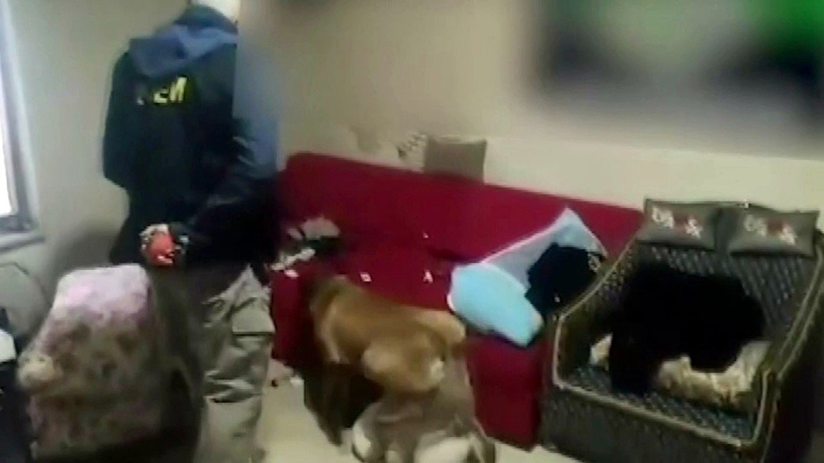 sokak-saticilarina-buyuk-darbe-12-sahis-tutuklandi