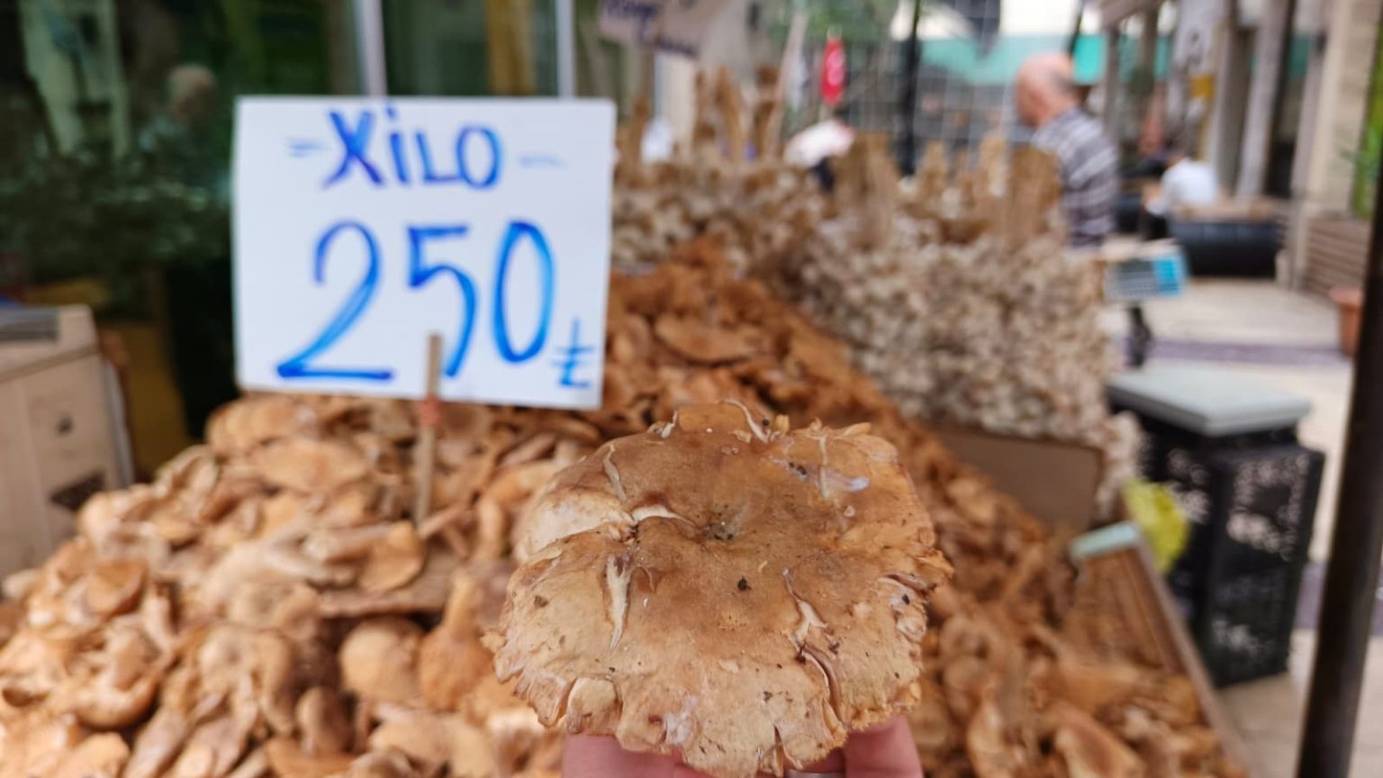 tezgahlarda-tirmit-bollugu-fiyati-dustu