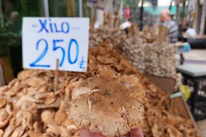 tezgahlarda-tirmit-bollugu-fiyati-dustu