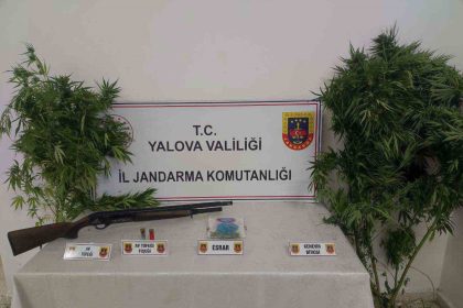yalovada-ormanlik-alanda-uyusturucu-yetistiren-2-supheli-yakalandi