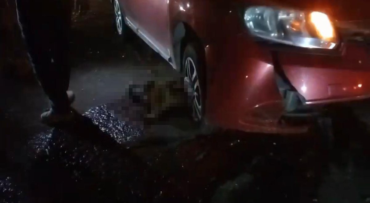 yolda-dogum-yapan-manda-yavrusuyla-otomobil-altinda-kalarak-telef-oldu