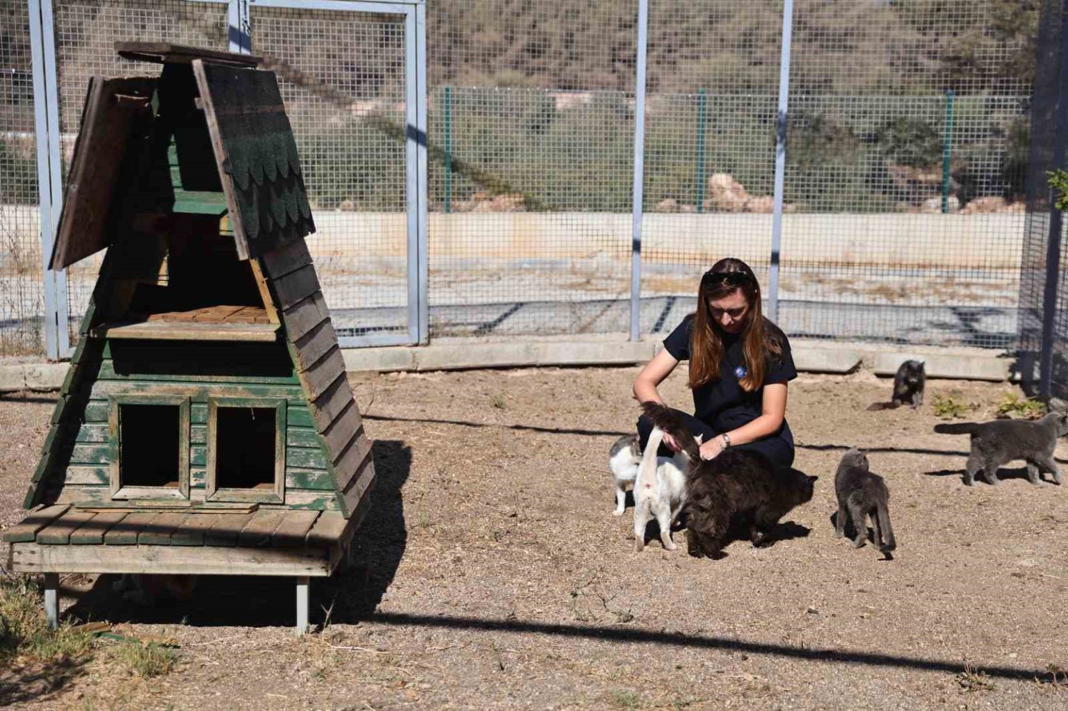 antalyada-sokak-hayvanlarina-7-24-bakim-ve-rehabilitasyon
