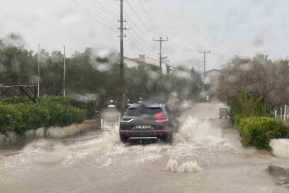 ayvalik-yagisa-teslim