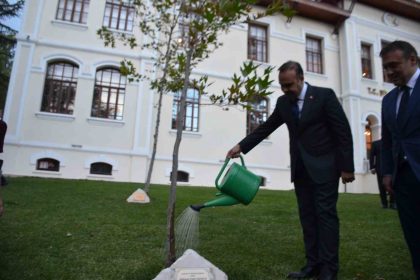 bakan-kacir-2023-yilinda-diktigi-cinar-agacini-suladi