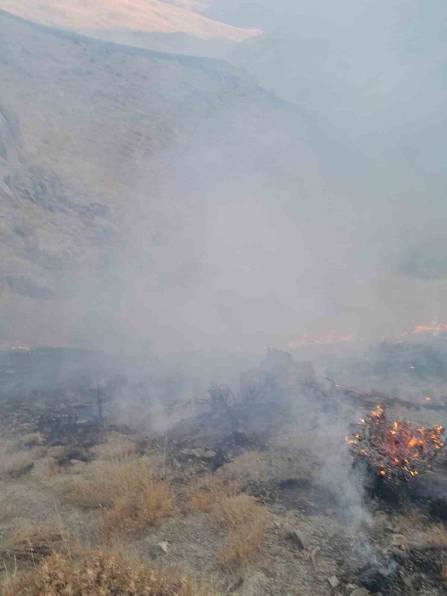 baskalede-aniz-yangini