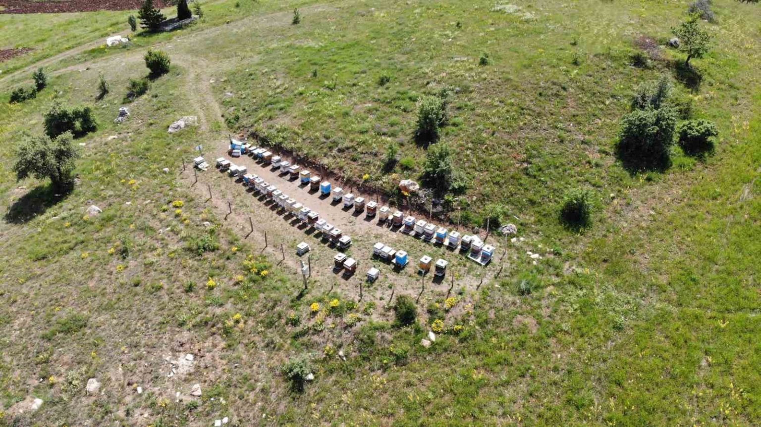 bayburtta-arili-kovan-destekleme-muracaatlari-basladi