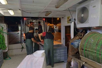 bir-ayda-198-ton-hamsi-cikisi-oldu