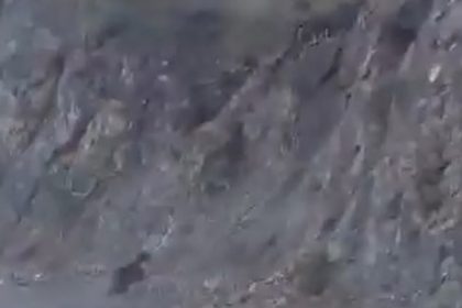 boluda-anne-ayi-ve-yavrusu-korkuyla-daga-tirmandi-o-anlar-kamerada