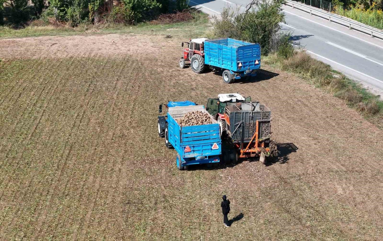 erzincanin-bereketli-topraklarinda-pancar-hasadi-basladi