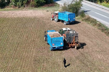 erzincanin-bereketli-topraklarinda-pancar-hasadi-basladi