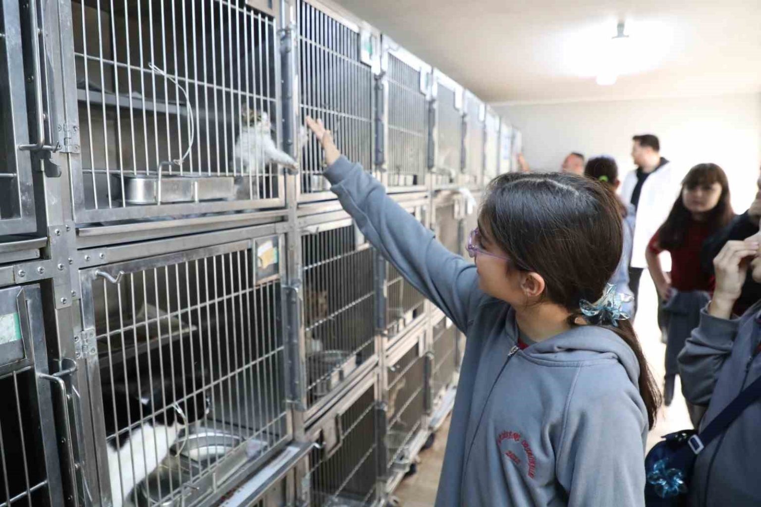 gaziosmanpasada-dunya-hayvanlari-koruma-gunune-ozel-etkinlik