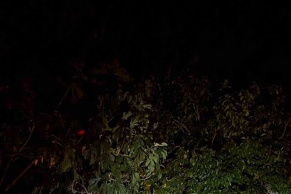 germencikte-jandarma-incir-hirsizliklarini-onlemek-icin-sahada