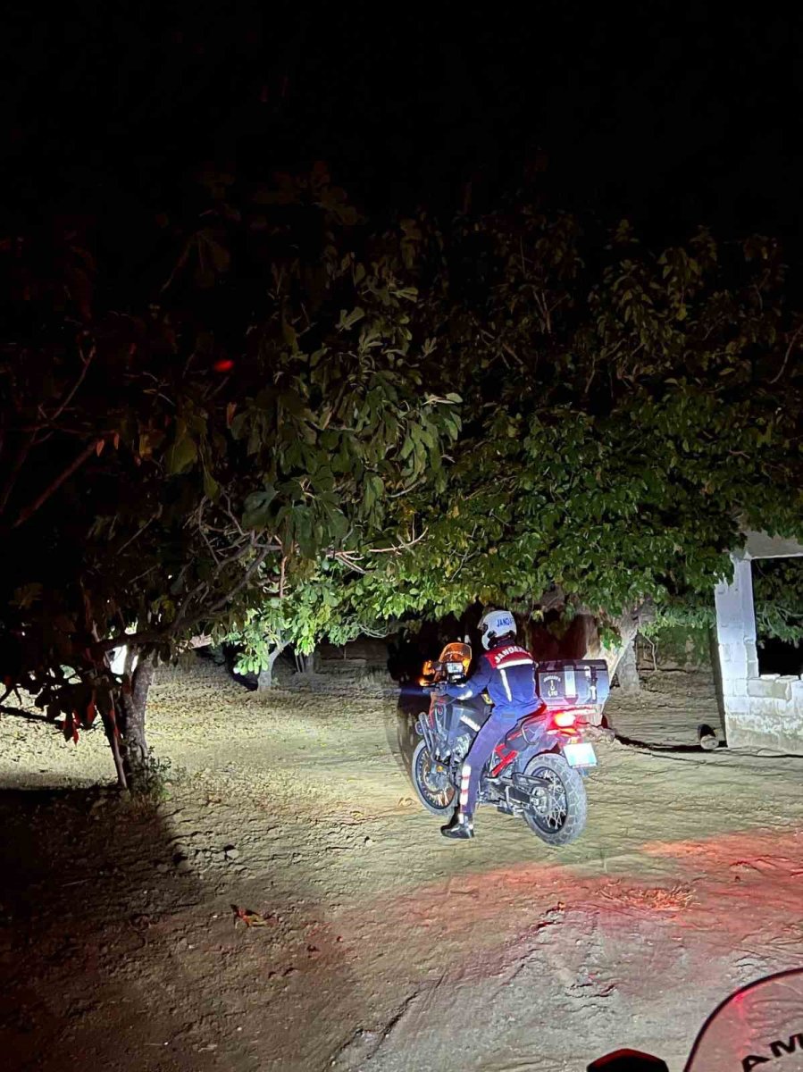 germencikte-jandarma-incir-hirsizliklarini-onlemek-icin-sahada