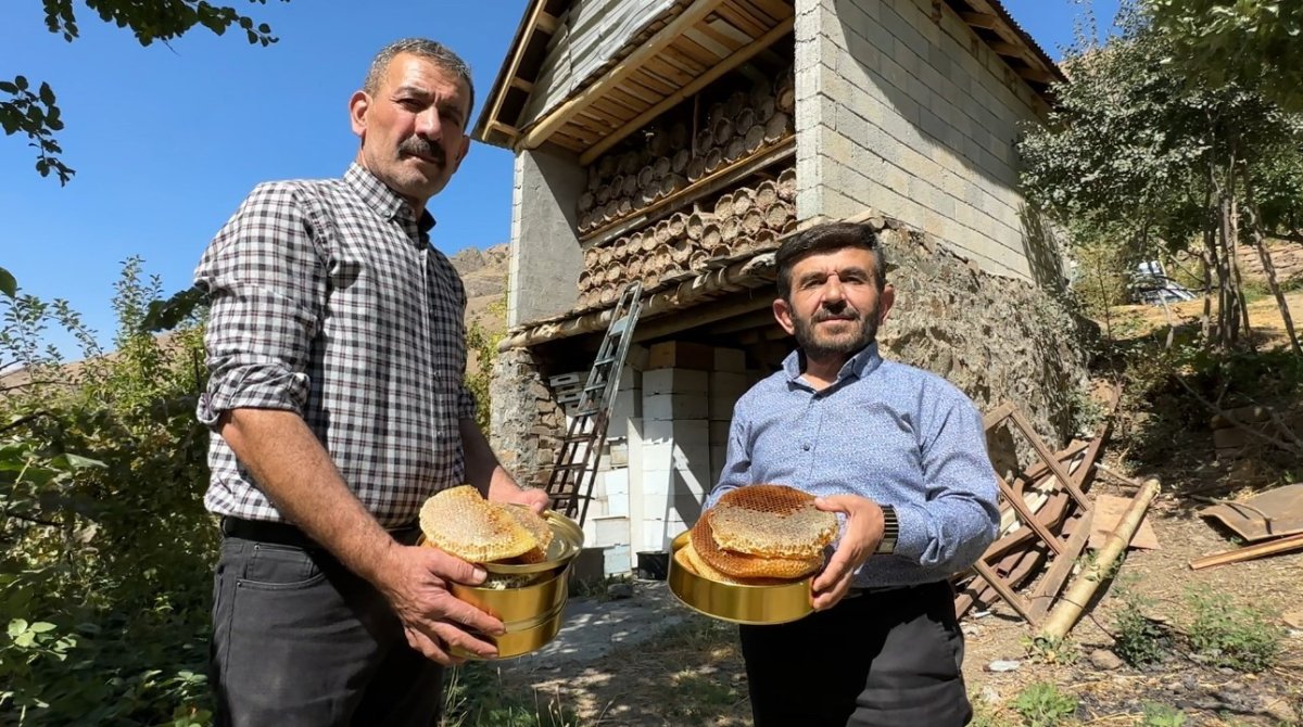 hakkari-daglarinda-bal-hasadi-basladi