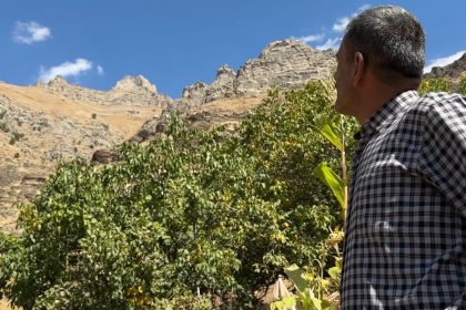 hakkarinin-dag-kecileri-kalesi-dikkat-cekiyor