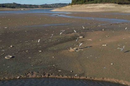 istanbulda-barajlar-alarm-veriyor-son-10-yilin-en-dusuk-su-seviyesi