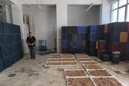 koskte-kuru-incir-depolarina-siki-denetim