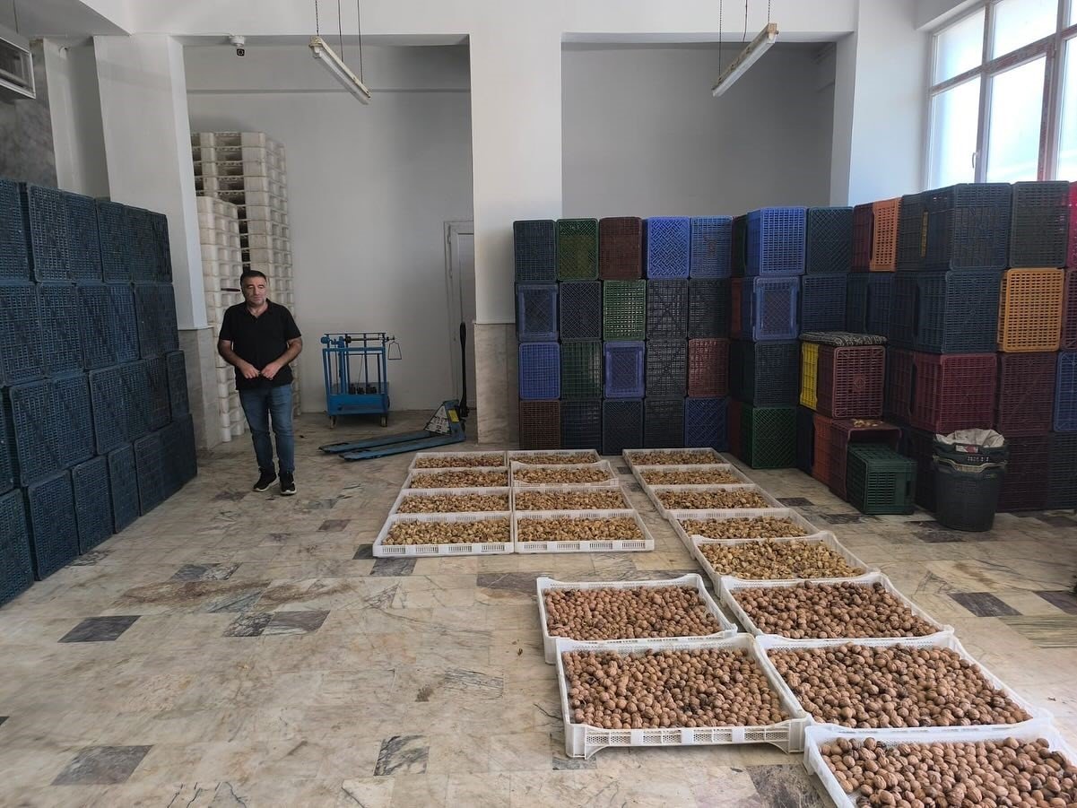 koskte-kuru-incir-depolarina-siki-denetim