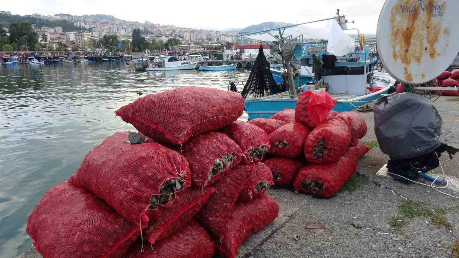 palamut-gibi-onun-da-avi-balikcilari-husrana-ugratti