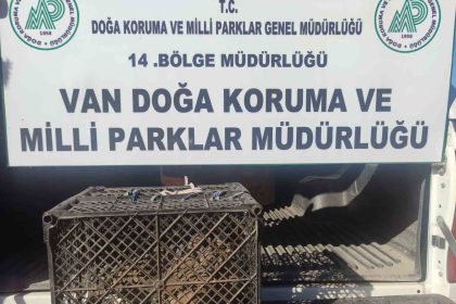vanda-kafes-avciligi-yapan-sahsa-53-bin-lira-cezai-islem-uygulanacak