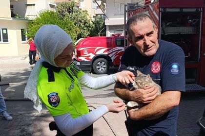 yanginda-telef-oldugu-sanilan-kedi-dolabin-arkasinda-saklanirken-bulundu