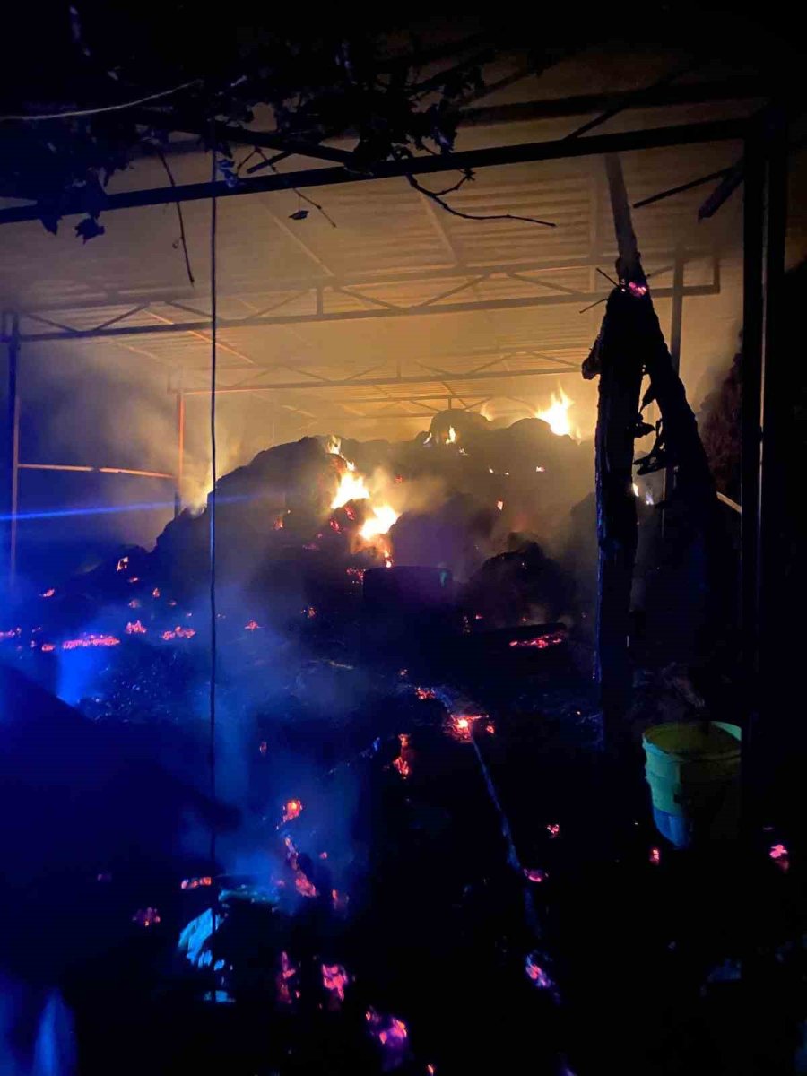 ahirda-yangininda-1-buzagi-telef-oldu