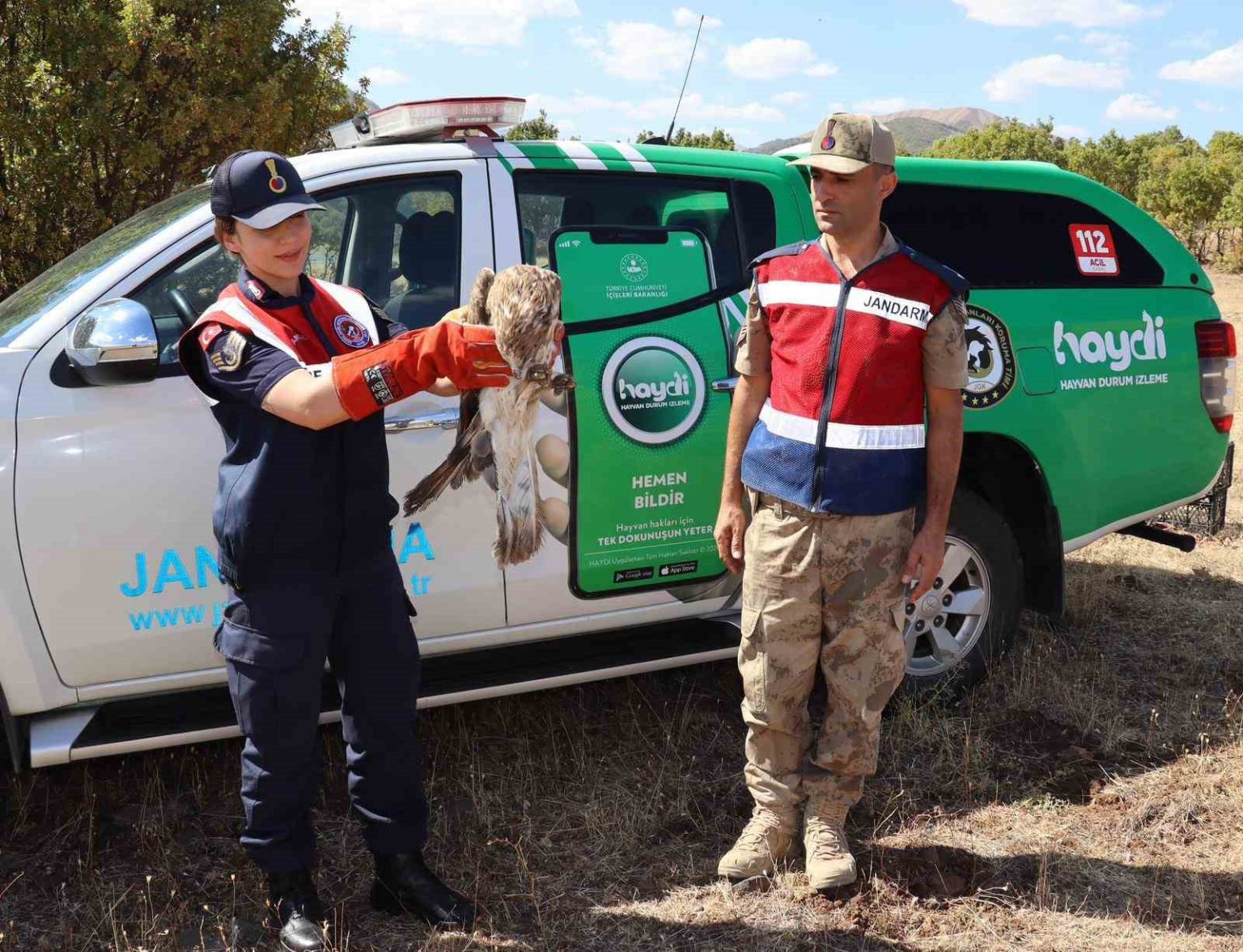 bingold-yarali-kartal-tedavi-altina-alindi