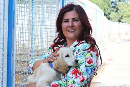 buyuksehirden-sokak-hayvanlari-icin-244-bin-metrekarelik-yasam-alani