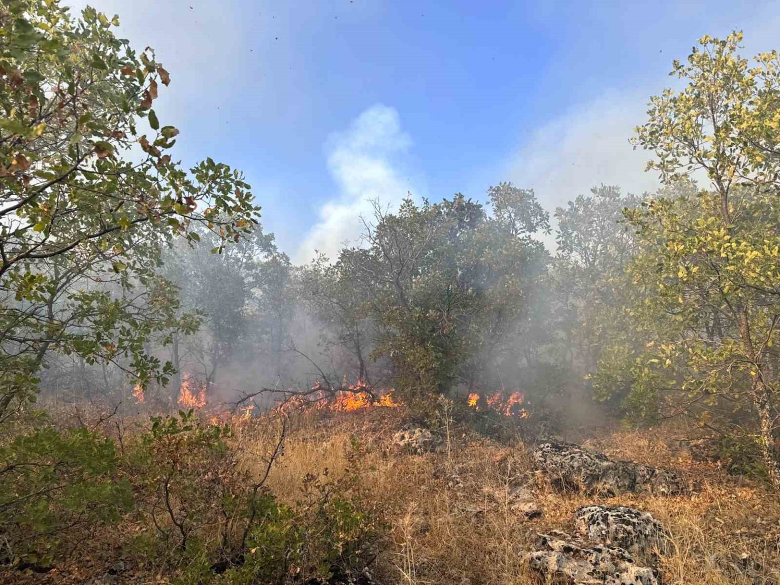 diyarbakirda-ortu-yangini-7-saat-sonra-helikopter-destegiyle-sonduruldu