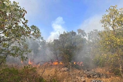 diyarbakirda-ortu-yangini-7-saat-sonra-helikopter-destegiyle-sonduruldu