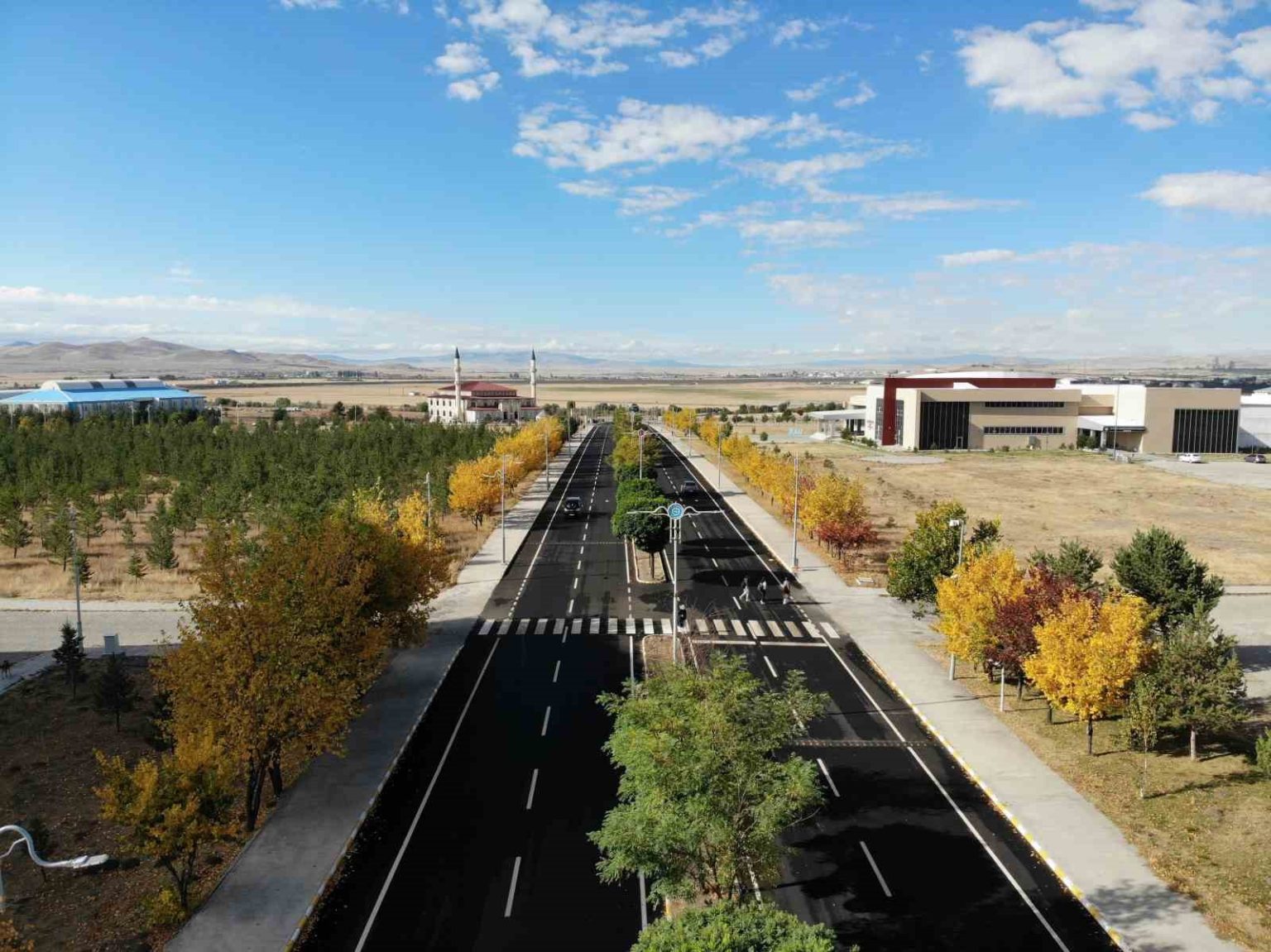 karsta-renk-tonuna-burunen-agaclar-buyuledi