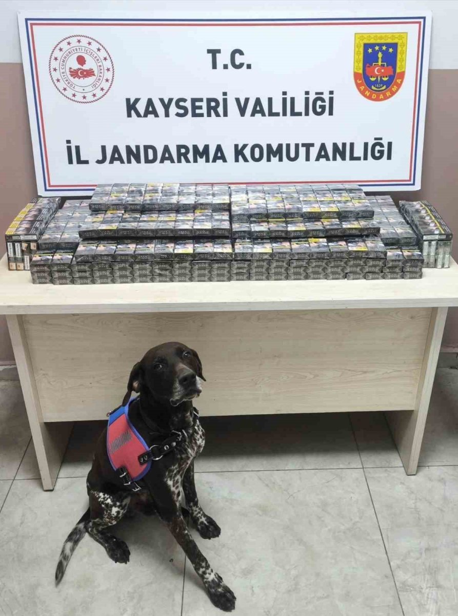 kimlik-kontrolu-icin-durdurulan-2-tirdan-560-paket-kacak-sigara-ele-gecirildi