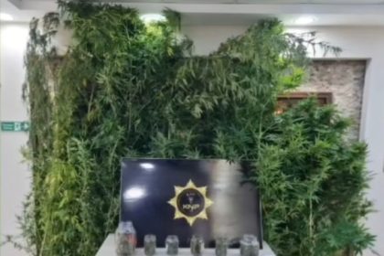 kirklarelinde-uyusturucu-operasyonu-2-gozalti