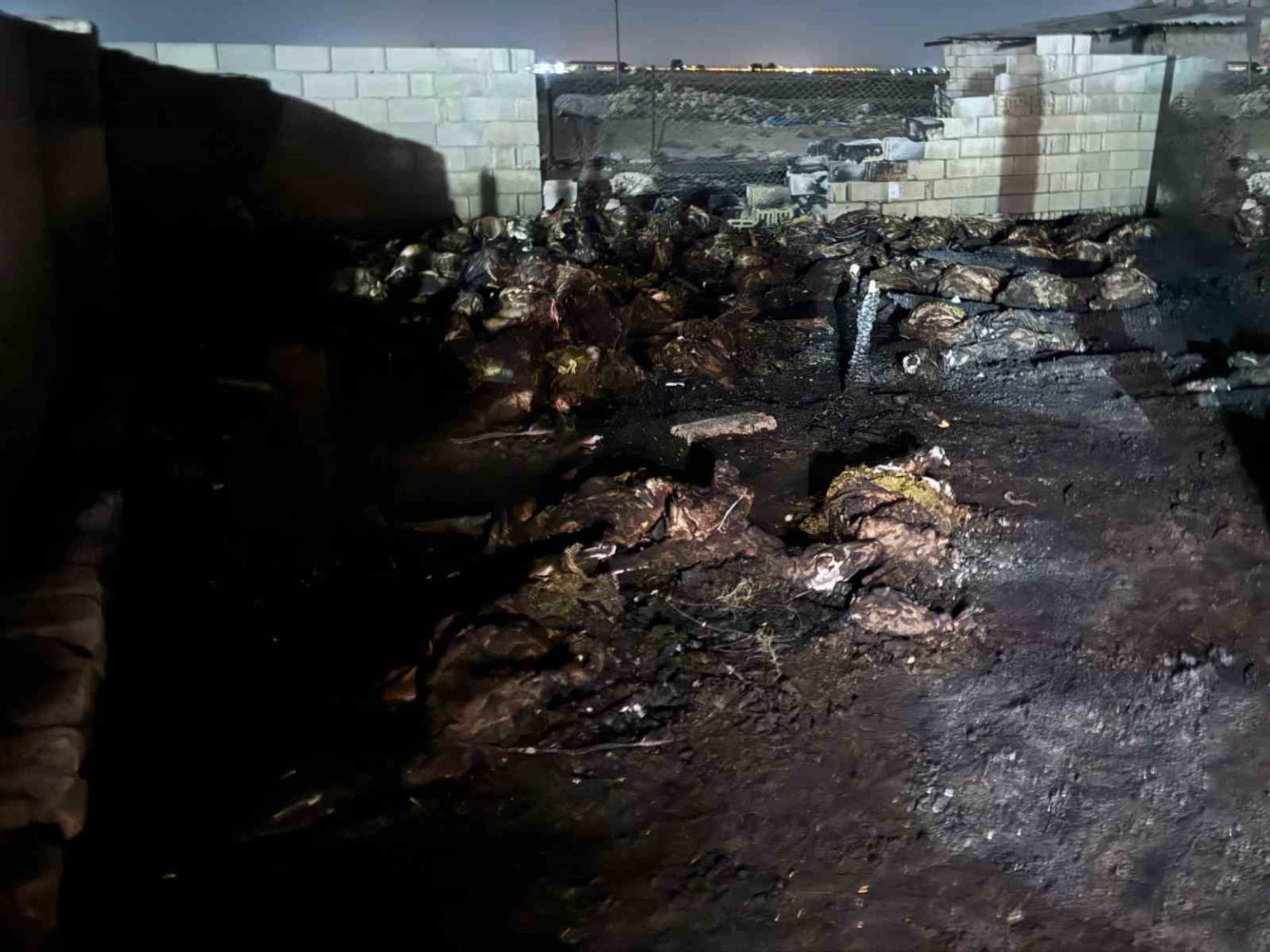 nigdede-ahir-yangini-170-koyun-telef-oldu