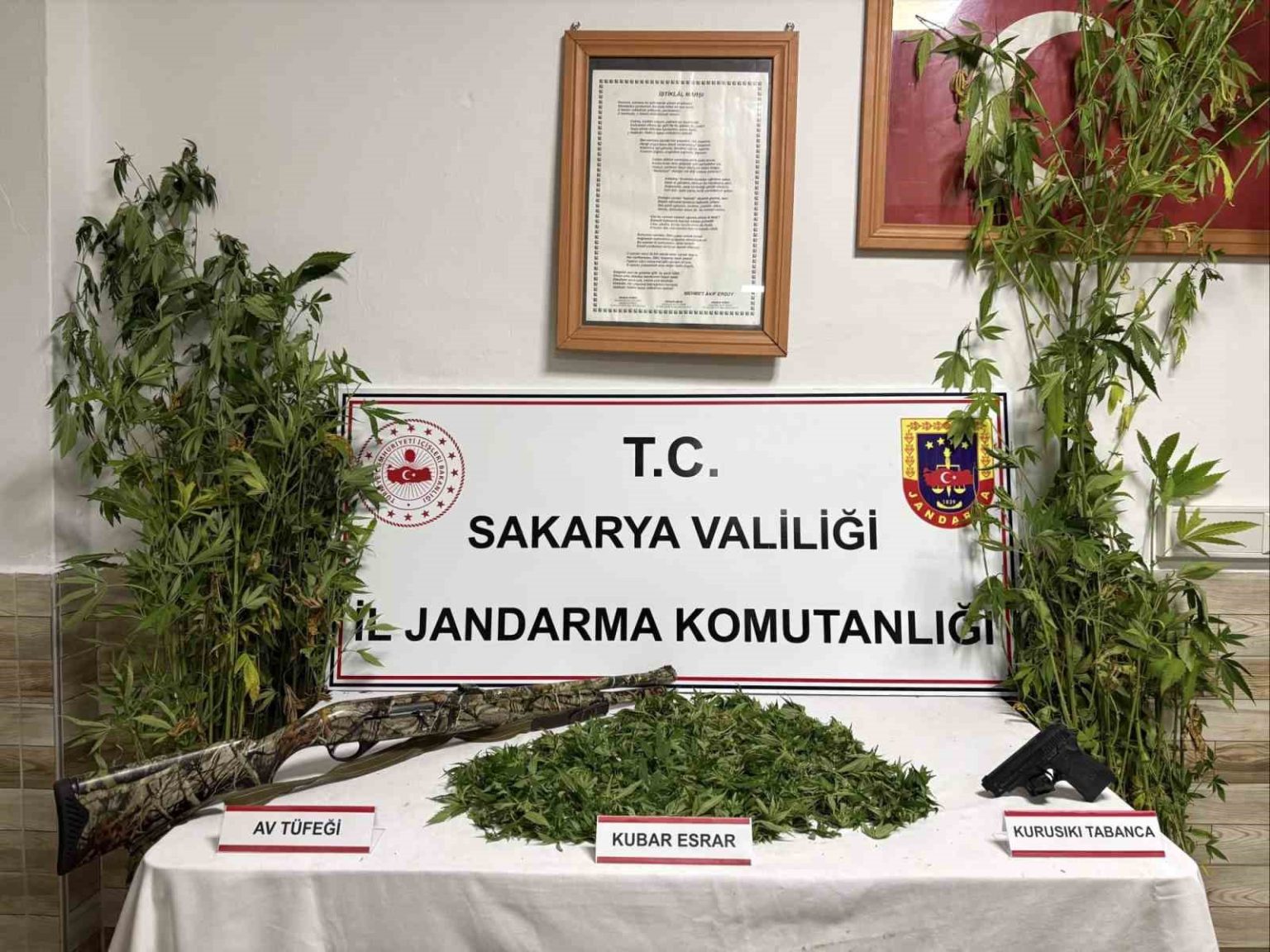 ormanlik-araziden-kenevir-hasat-ederken-sucustu-yakalanan-sahis-tutuklandi