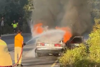 osmaniyede-otomobil-yangini-ormana-sicramadan-sonduruldu