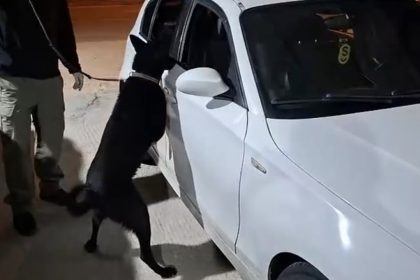 samsunda-narkotik-kopegi-cakir-yakit-deposuna-gizlenen-metamfetamini-buldu