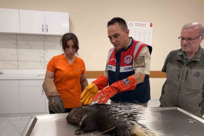 siirt-jandarmasindan-doga-dostu-calismalar