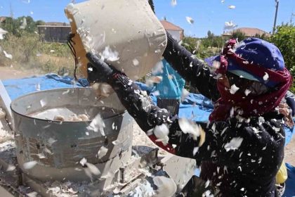 aksaraydan-yurt-disina-gonderilecek-organik-sarimsaklarin-ekimi-basladi