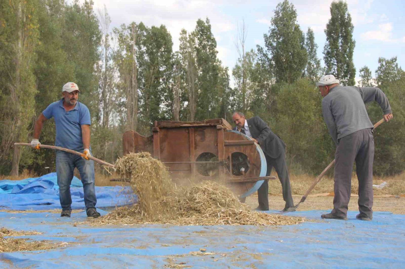 ata-tohumu-fasulyeler-geleneksel-yontemlerle-uretiliyor
