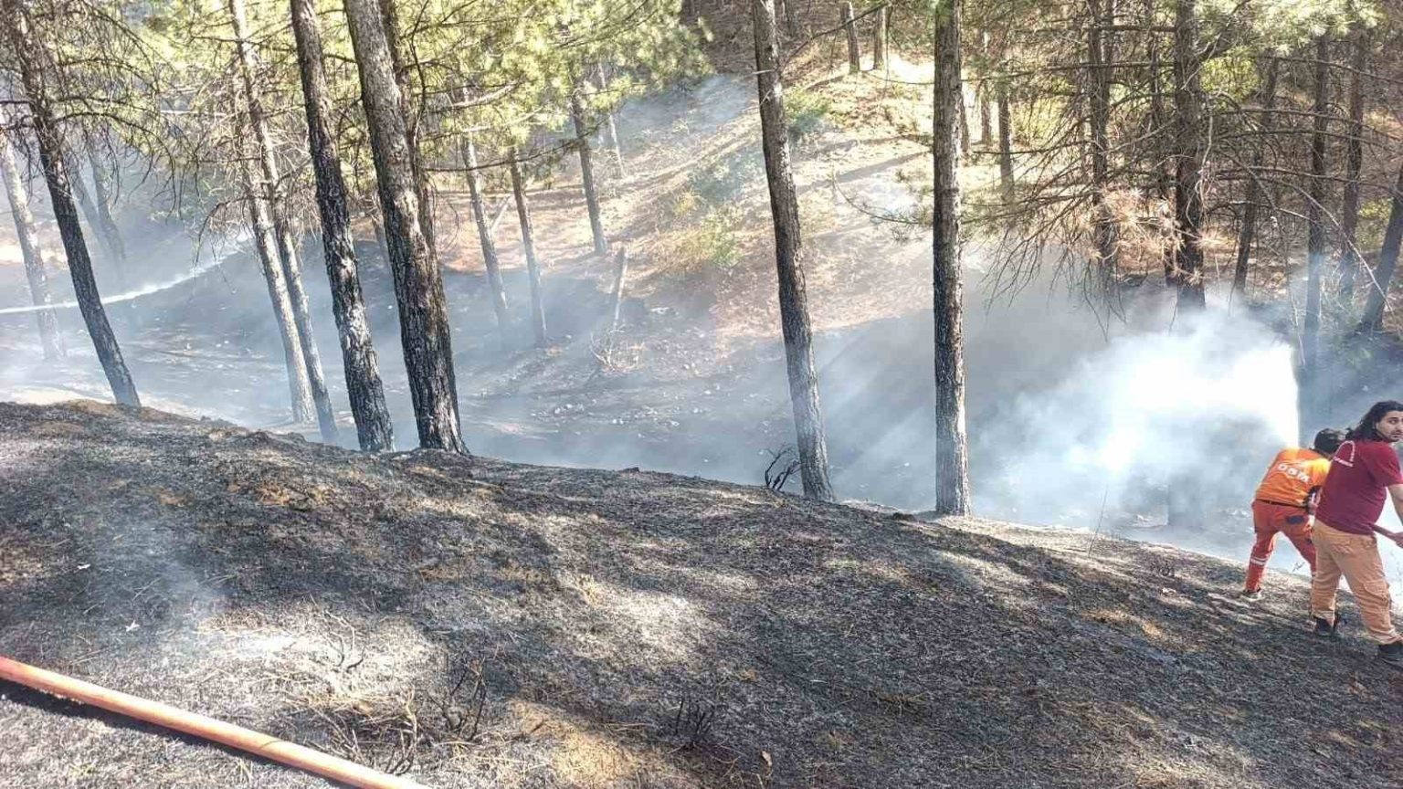 bingolde-cikan-orman-yangini-buyumeden-sonduruldu